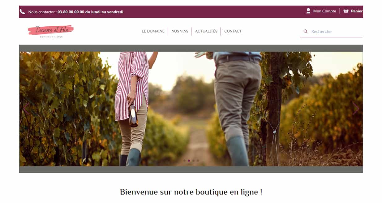 Mon Vin Français e-commerce PRO