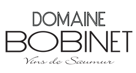 Domaine_Bobinet